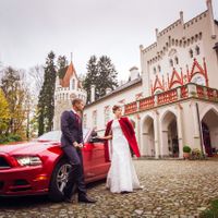 Wedding photo from Chateau Heralec, Czech Republic