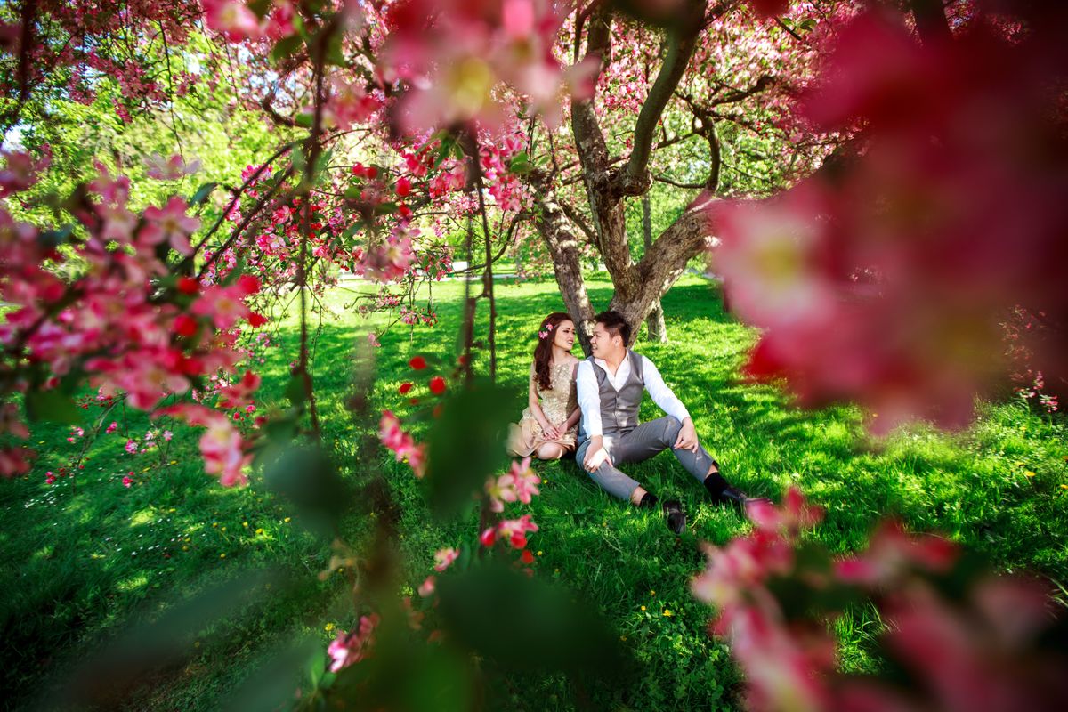 Lovely couple under the blossom tree in Prague