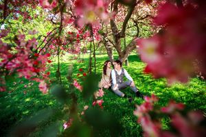 Sylvia and Ricko Lovely couple under the blossom tree in Prague